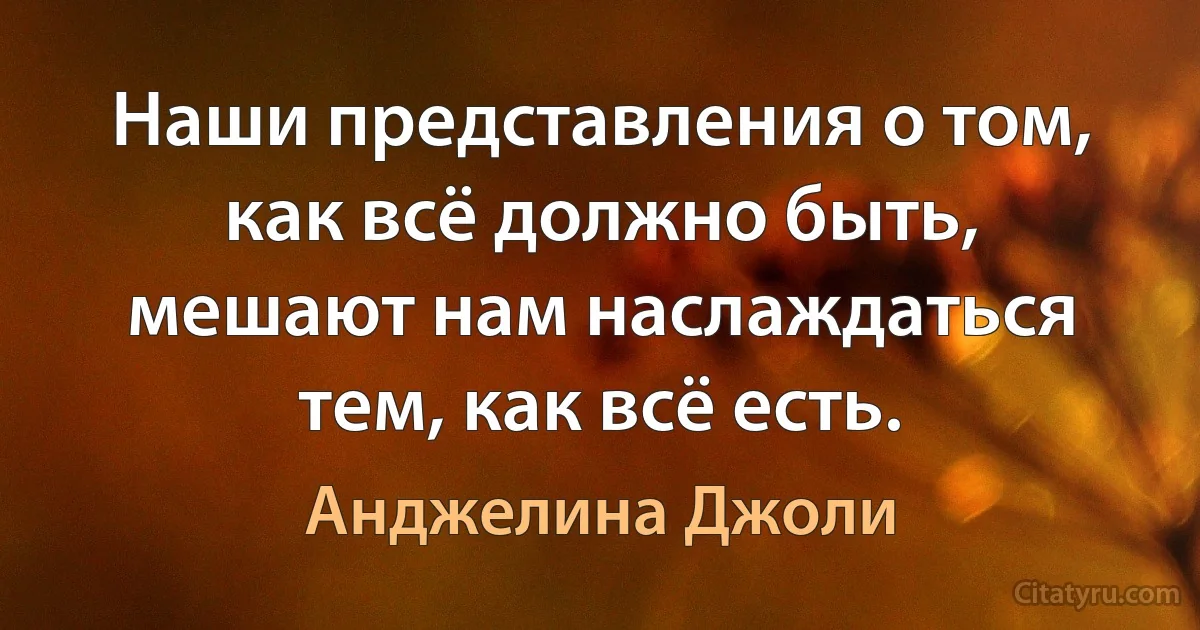 Наши представления о том, как всё должно быть, мешают нам наслаждаться тем, как всё есть. (Анджелина Джоли)