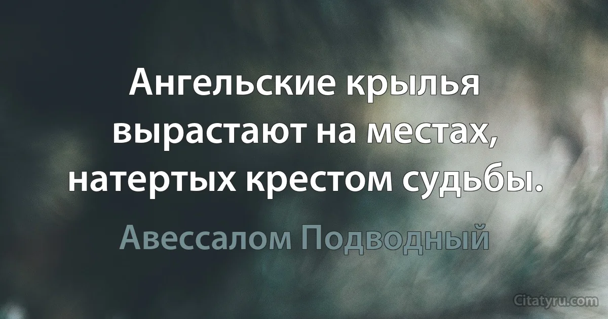 Ангельские крылья вырастают на местах, натертых крестом судьбы. (Авессалом Подводный)