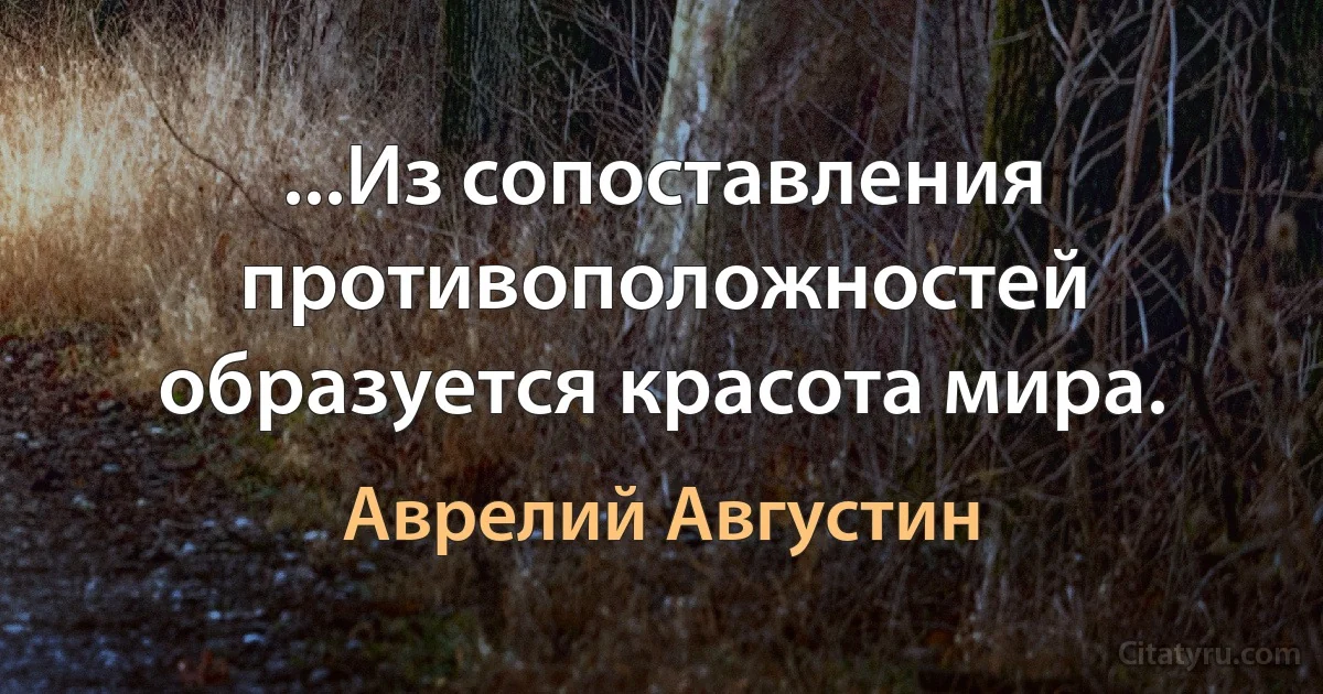 ...Из сопоставления противоположностей образуется красота мира. (Аврелий Августин)