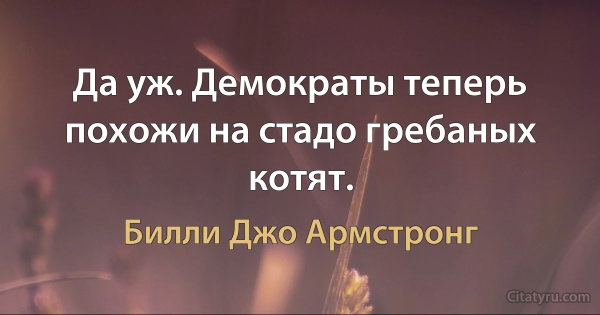 Да уж. Демократы теперь похожи на стадо гребаных котят. (Билли Джо Армстронг)