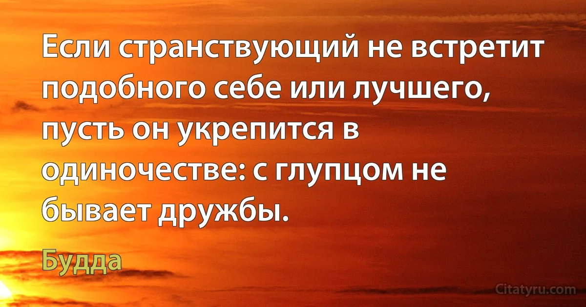 Если странствующий не встретит подобного себе или лучшего, пусть он укрепится в одиночестве: с глупцом не бывает дружбы. (Будда)