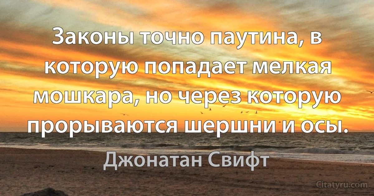 Законы точно паутина, в которую попадает мелкая мошкара, но через которую прорываются шершни и осы. (Джонатан Свифт)