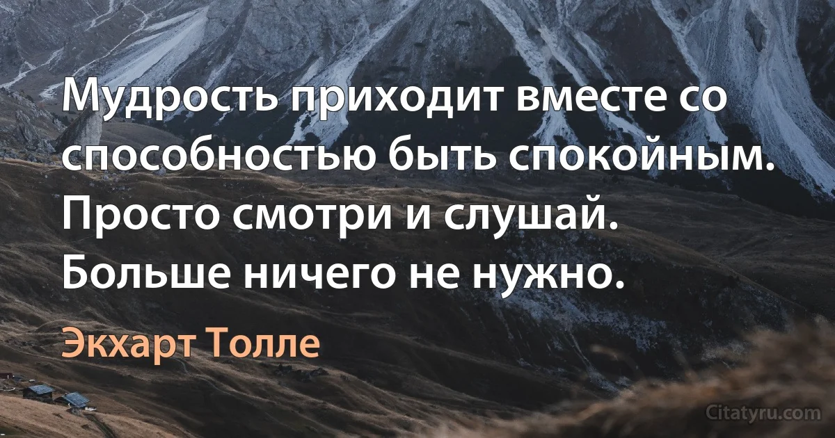 Мудрость приходит вместе со способностью быть спокойным. Просто смотри и слушай. Больше ничего не нужно. (Экхарт Толле)