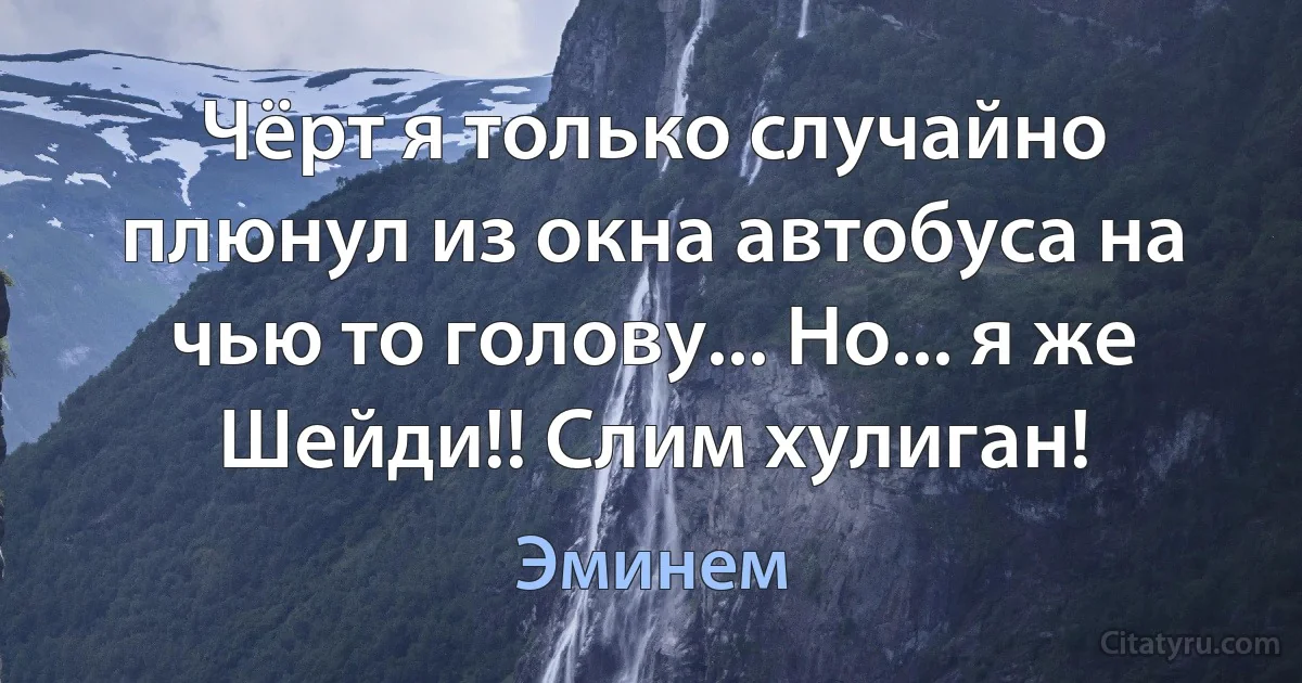 Чёрт я только случайно плюнул из окна автобуса на чью то голову... Но... я же Шейди!! Слим хулиган! (Эминем)