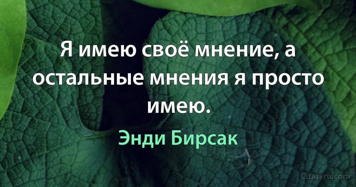 Я имею своё мнение, а остальные мнения я просто имею. (Энди Бирсак)