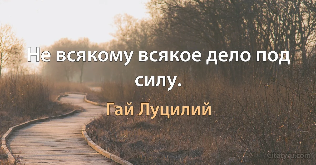 Не всякому всякое дело под силу. (Гай Луцилий)