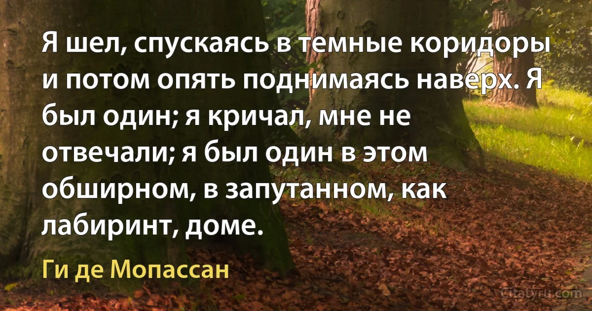 Я шел, спускаясь в темные коридоры и потом опять поднимаясь наверх. Я был один; я кричал, мне не отвечали; я был один в этом обширном, в запутанном, как лабиринт, доме. (Ги де Мопассан)