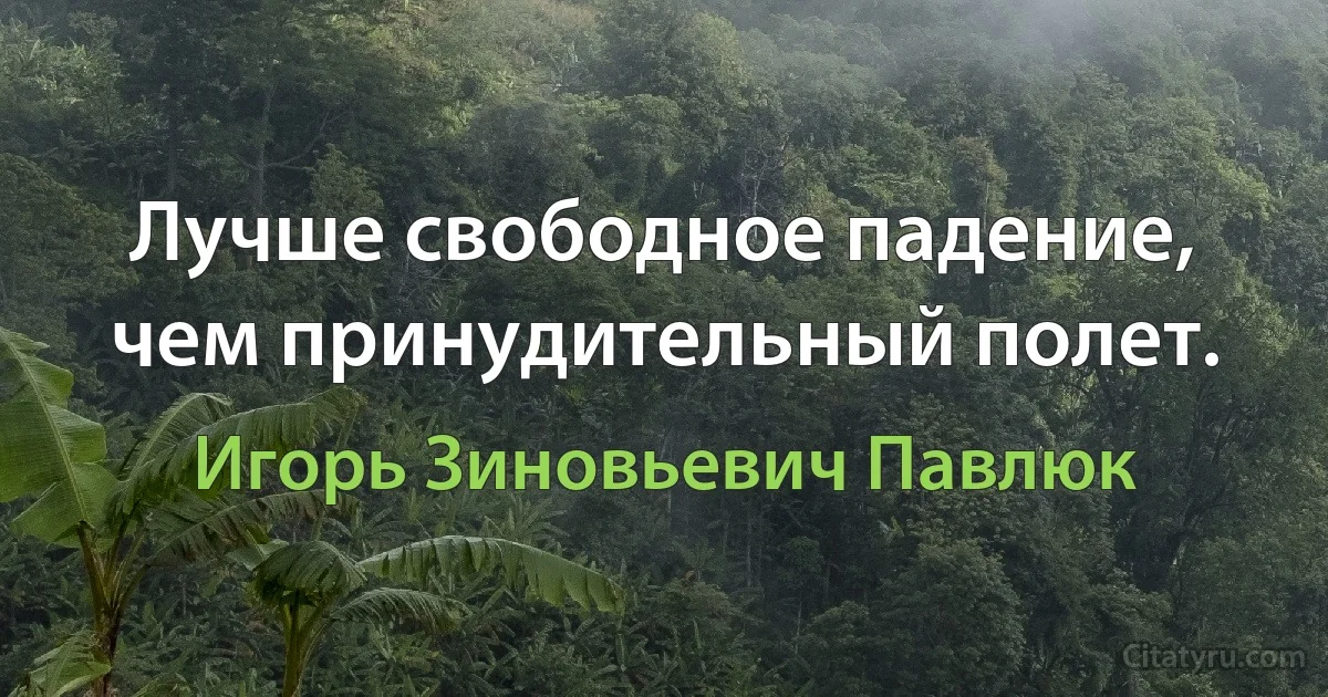 Лучше свободное падение, чем принудительный полет. (Игорь Зиновьевич Павлюк)