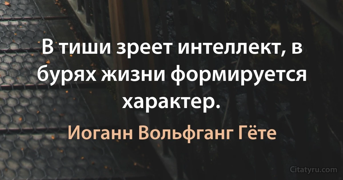 В тиши зреет интеллект, в бурях жизни формируется характер. (Иоганн Вольфганг Гёте)