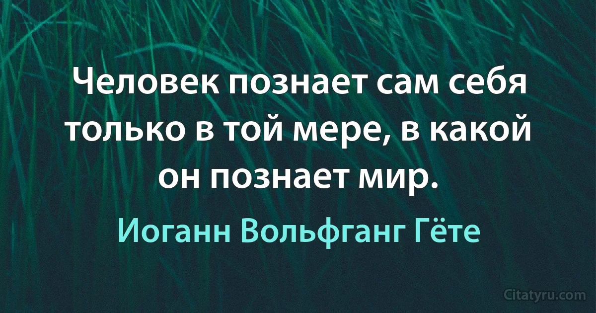 Человек познает сам себя только в той мере, в какой он познает мир. (Иоганн Вольфганг Гёте)