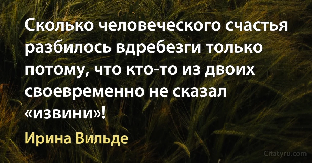 Сколько человеческого счастья разбилось вдребезги только потому, что кто-то из двоих своевременно не сказал «извини»! (Ирина Вильде)