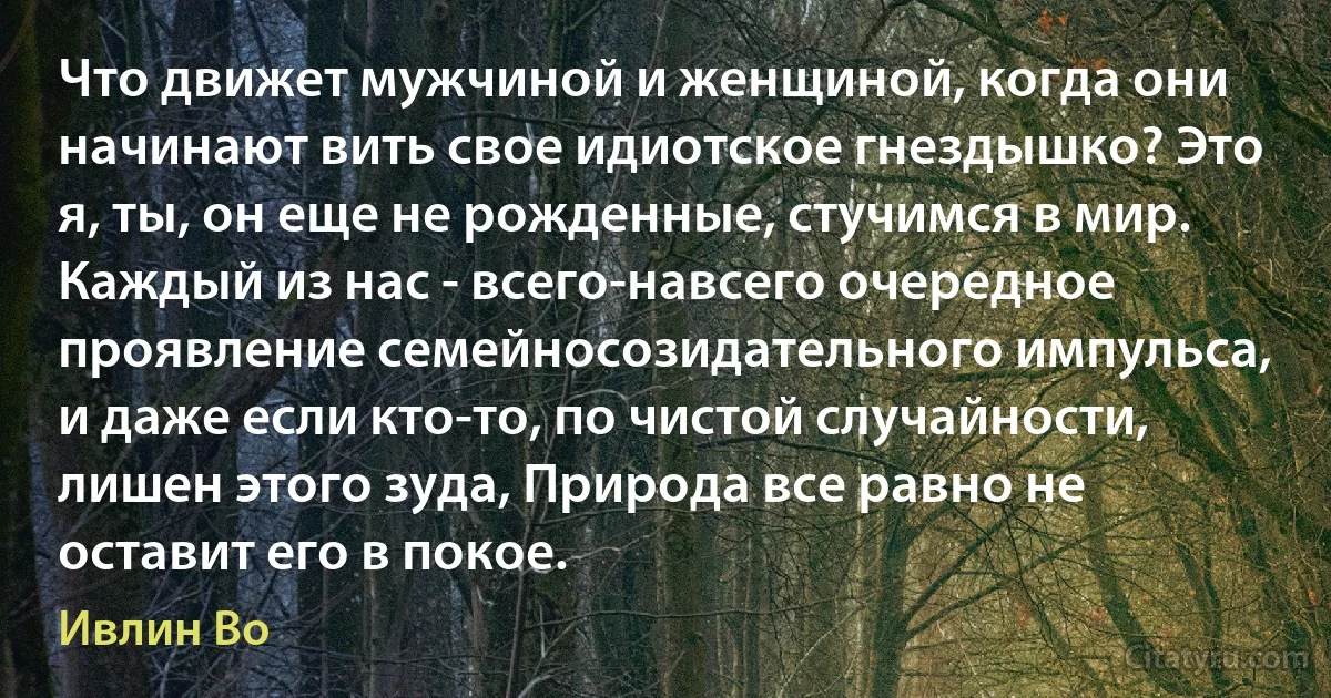 Что движет мужчиной и женщиной, когда они начинают вить свое идиотское гнездышко? Это я, ты, он еще не рожденные, стучимся в мир. Каждый из нас - всего-навсего очередное проявление семейносозидательного импульса, и даже если кто-то, по чистой случайности, лишен этого зуда, Природа все равно не оставит его в покое. (Ивлин Во)