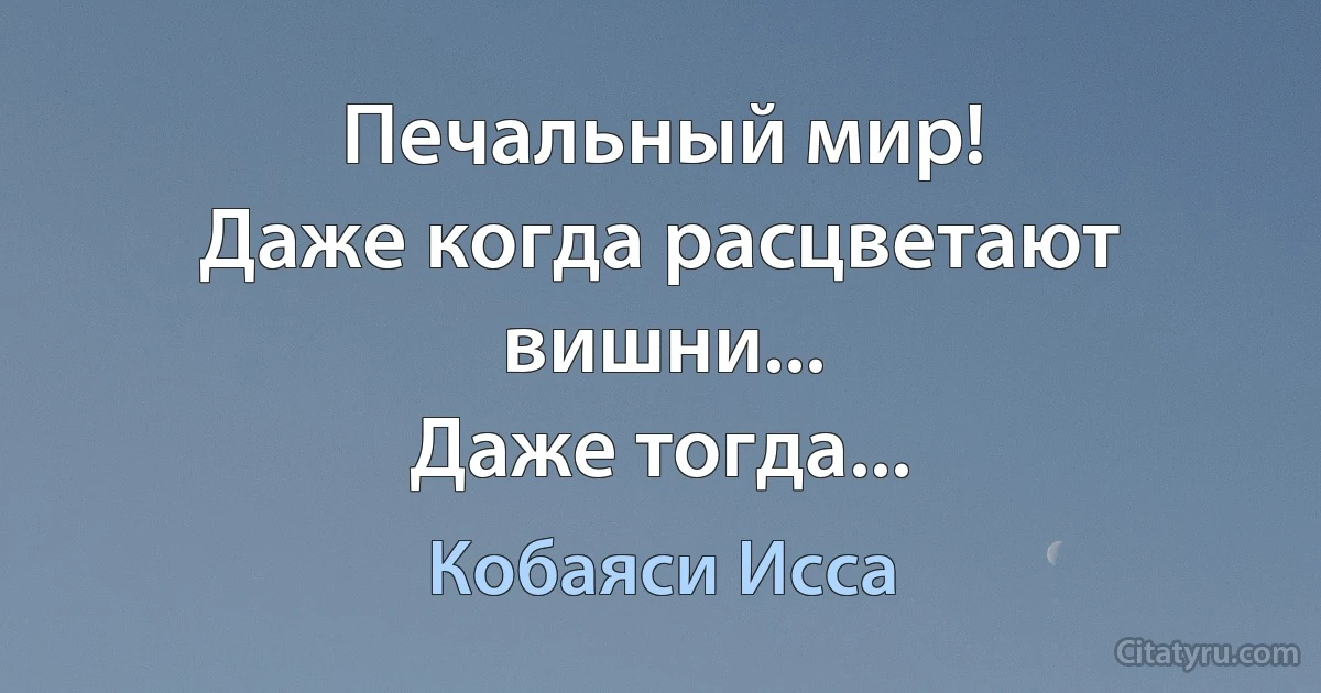 Печальный мир!
Даже когда расцветают вишни...
Даже тогда... (Кобаяси Исса)