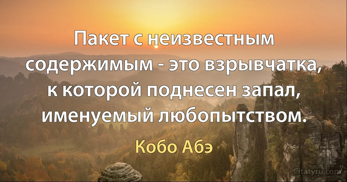 Пакет с неизвестным содержимым - это взрывчатка, к которой поднесен запал, именуемый любопытством. (Кобо Абэ)