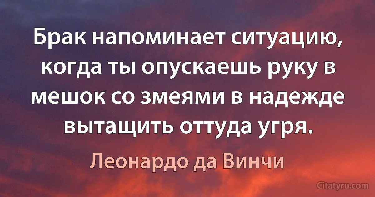 Брак напоминает ситуацию, когда ты опускаешь руку в мешок со змеями в надежде вытащить оттуда угря. (Леонардо да Винчи)