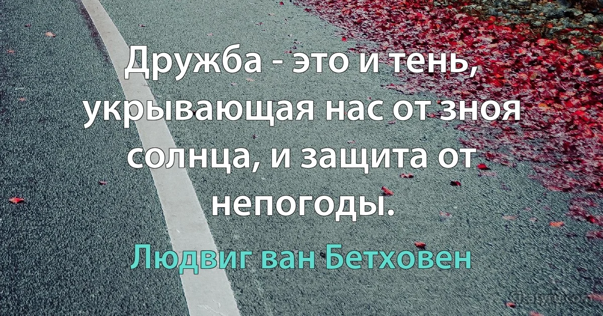 Дружба - это и тень, укрывающая нас от зноя солнца, и защита от непогоды. (Людвиг ван Бетховен)