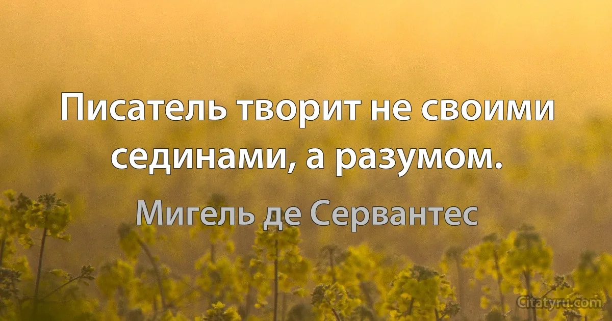 Писатель творит не своими сединами, а разумом. (Мигель де Сервантес)