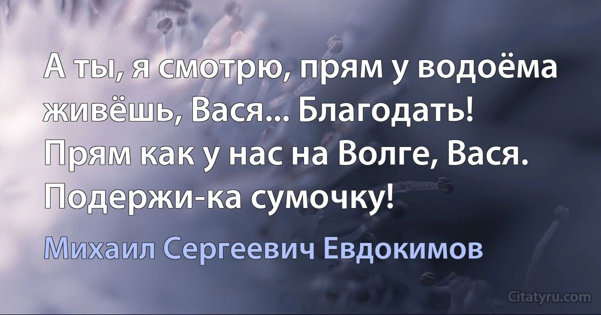 А ты, я смотрю, прям у водоёма живёшь, Вася... Благодать! Прям как у нас на Волге, Вася. Подержи-ка сумочку! (Михаил Сергеевич Евдокимов)