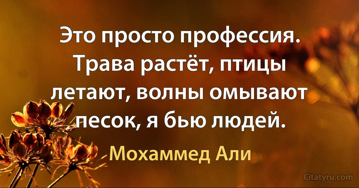 Это просто профессия. Трава растёт, птицы летают, волны омывают песок, я бью людей. (Мохаммед Али)