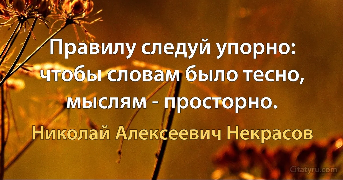 Правилу следуй упорно: чтобы словам было тесно, мыслям - просторно. (Николай Алексеевич Некрасов)