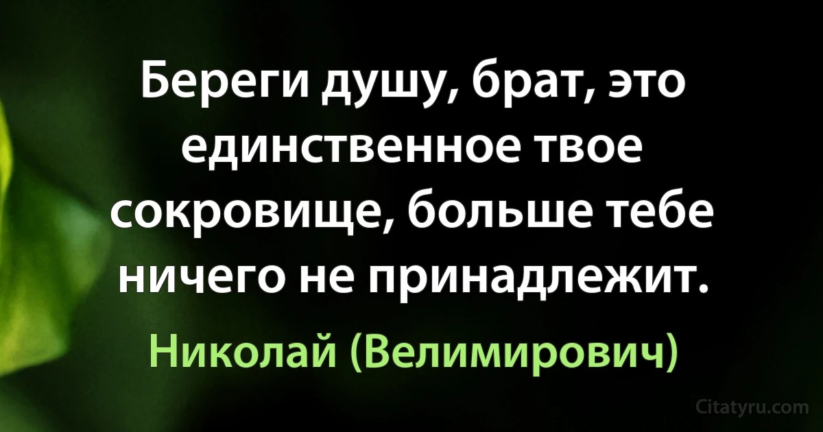 Береги душу, брат, это единственное твое сокровище, больше тебе ничего не принадлежит. (Николай (Велимирович))