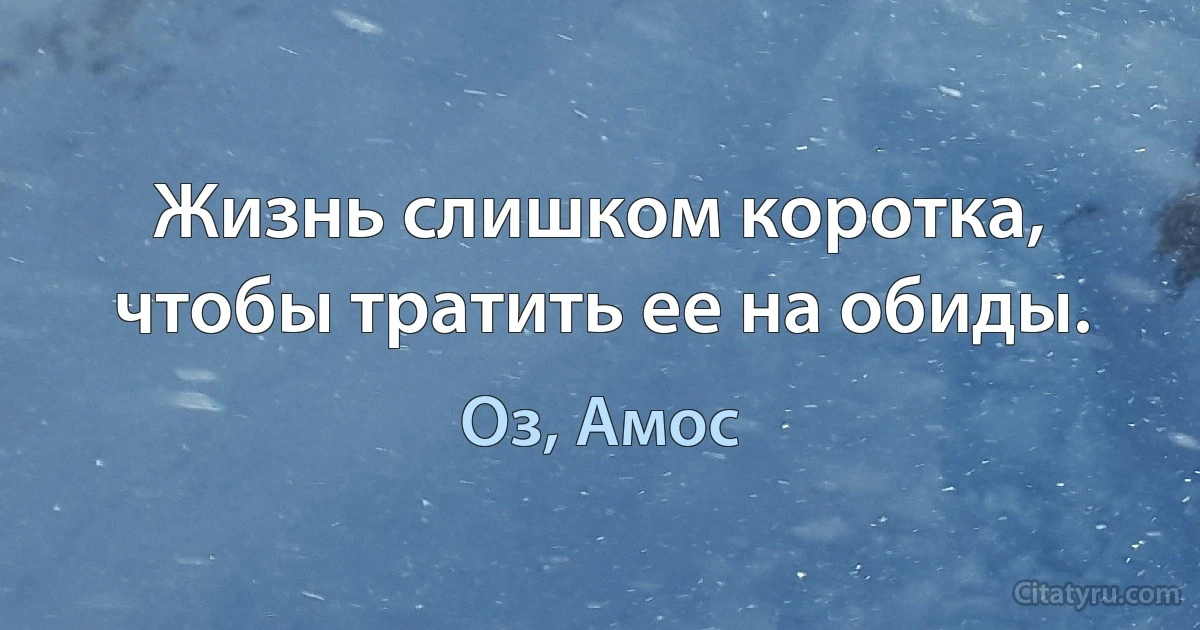 Жизнь слишком коротка, чтобы тратить ее на обиды. (Оз, Амос)