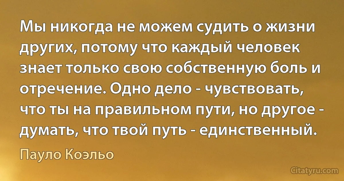 Мы никогда не можем судить о жизни других, потому что каждый человек знает только свою собственную боль и отречение. Одно дело - чувствовать, что ты на правильном пути, но другое - думать, что твой путь - единственный. (Пауло Коэльо)