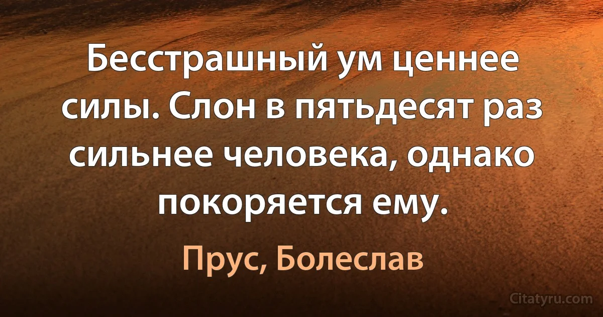 Бесстрашный ум ценнее силы. Слон в пятьдесят раз сильнее человека, однако покоряется ему. (Прус, Болеслав)