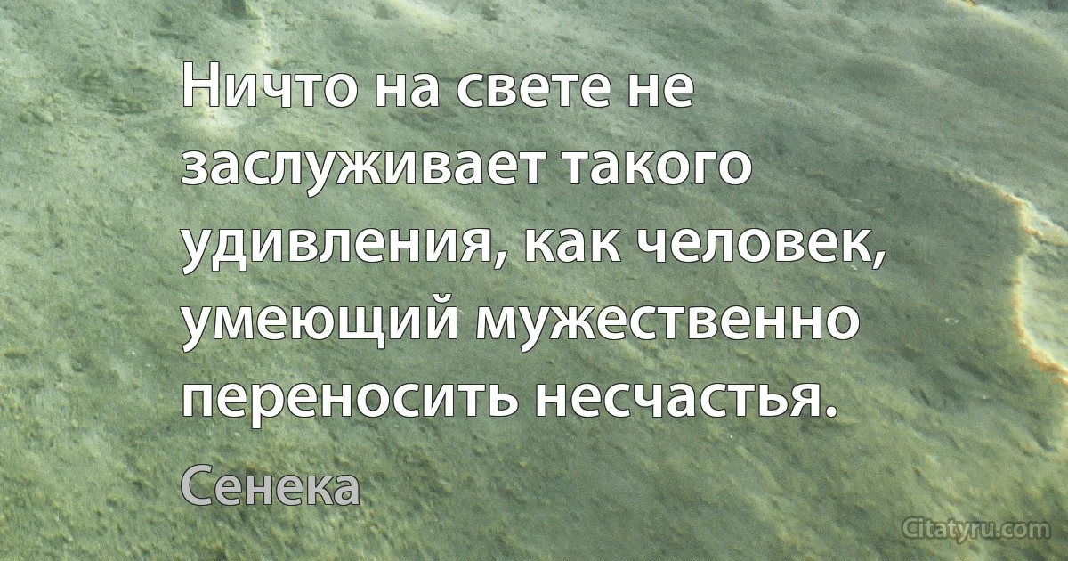 Ничто на свете не заслуживает такого удивления, как человек, умеющий мужественно переносить несчастья. (Сенека)