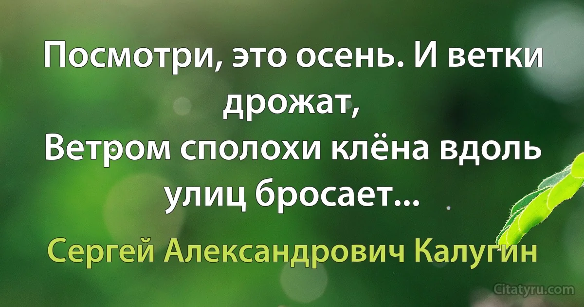 Посмотри, это осень. И ветки дрожат,
Ветром сполохи клёна вдоль улиц бросает... (Сергей Александрович Калугин)