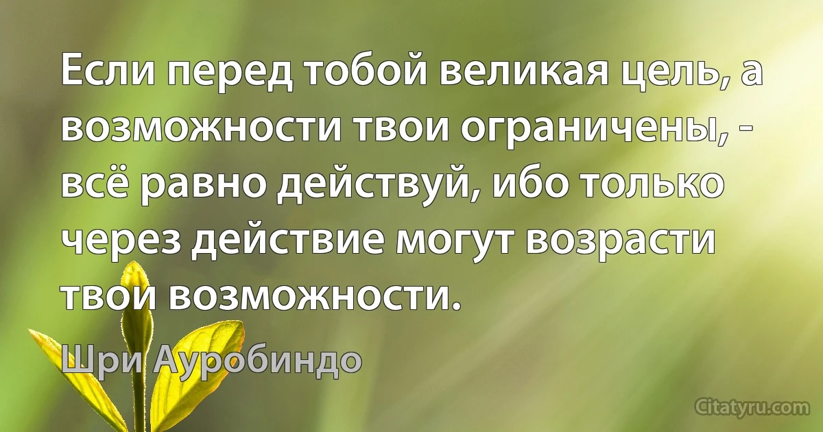 Если перед тобой великая цель, а возможности твои ограничены, - всё равно действуй, ибо только через действие могут возрасти твои возможности. (Шри Ауробиндо)