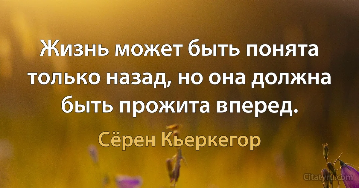 Жизнь может быть понята только назад, но она должна быть прожита вперед. (Сёрен Кьеркегор)