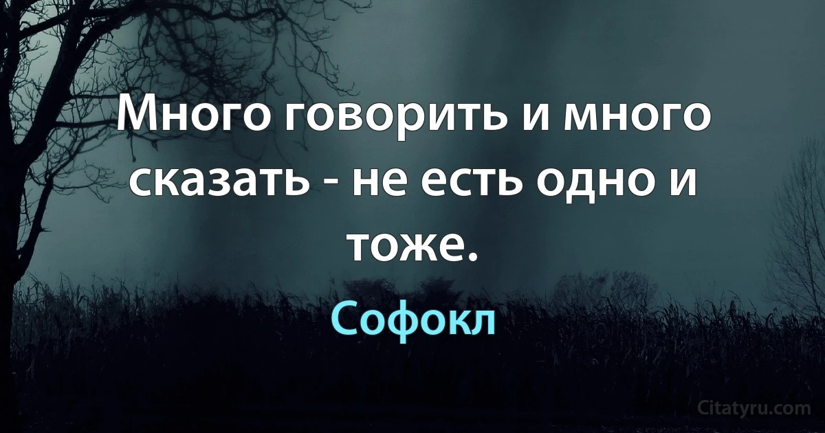 Много говорить и много сказать - не есть одно и тоже. (Софокл)