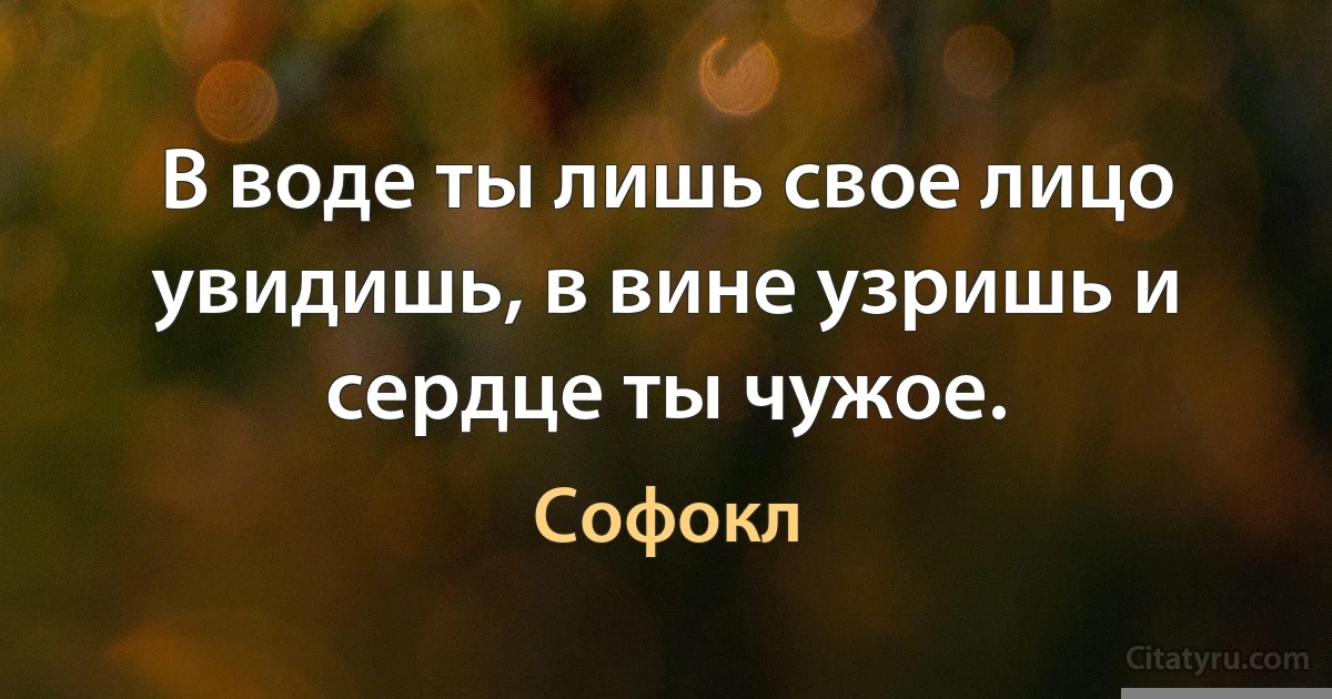 В воде ты лишь свое лицо увидишь, в вине узришь и сердце ты чужое. (Софокл)