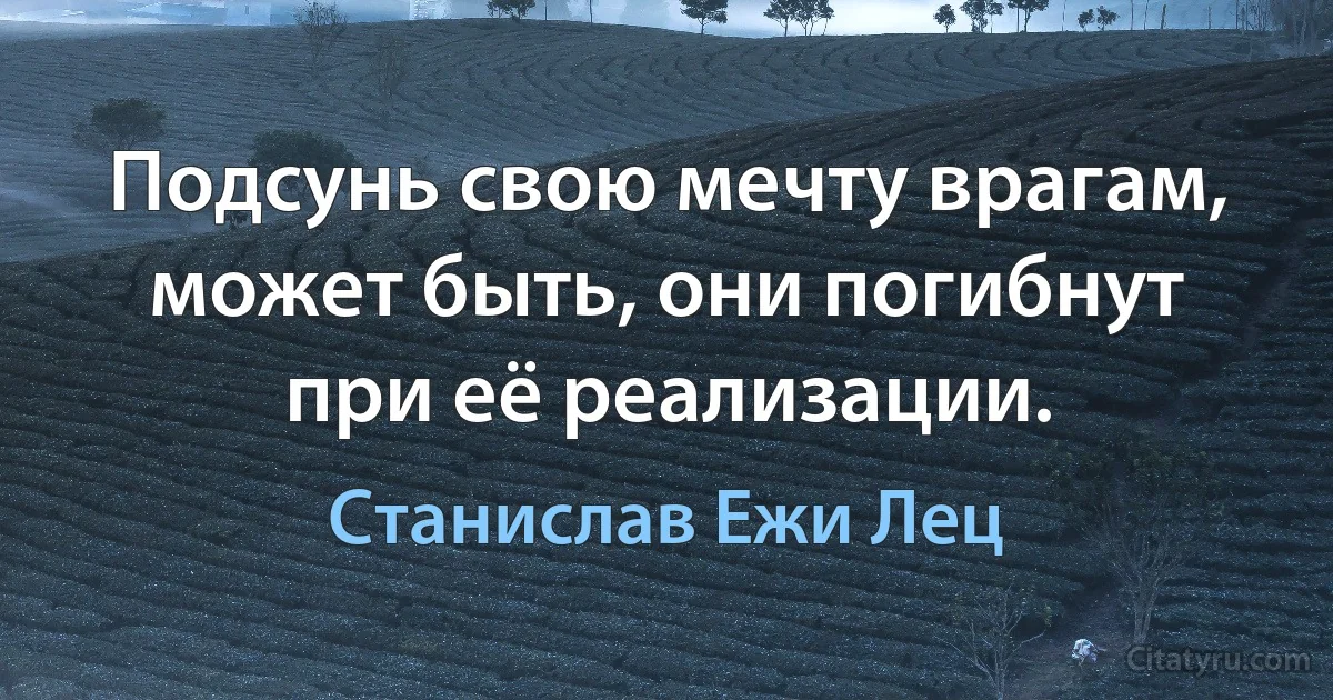 Подсунь свою мечту врагам, может быть, они погибнут при её реализации. (Станислав Ежи Лец)