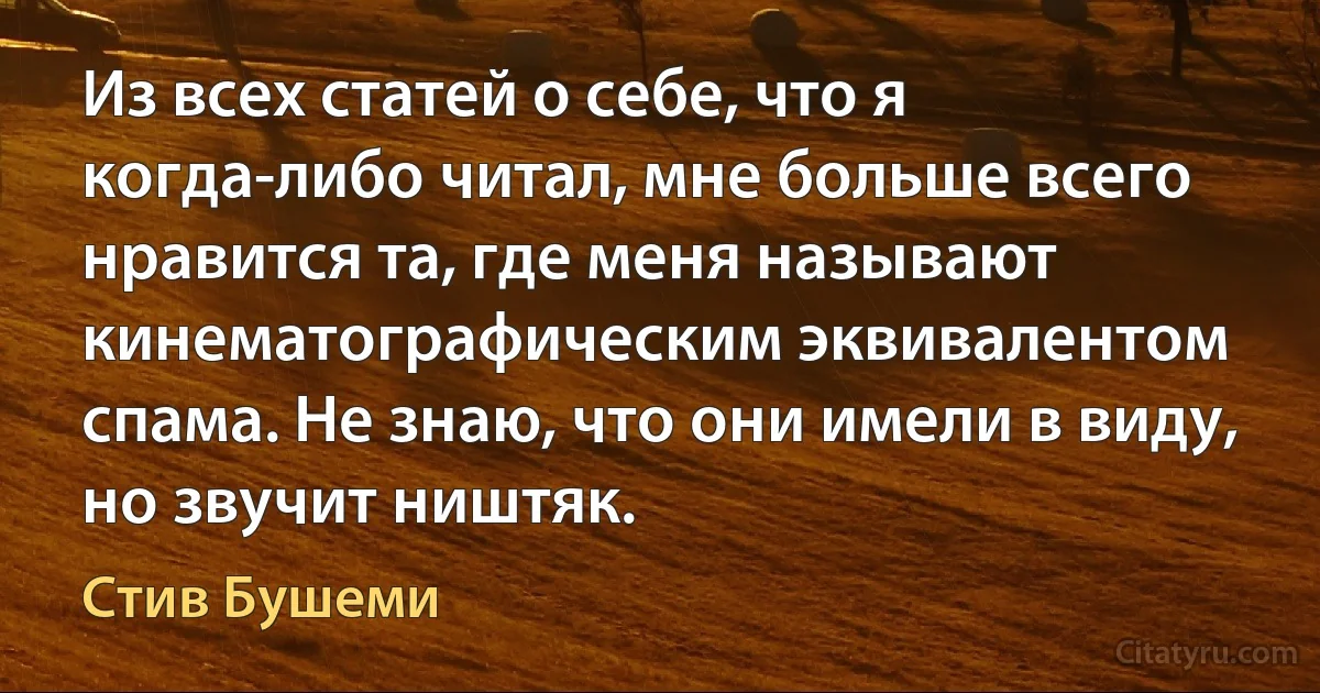 Из всех статей о себе, что я когда-либо читал, мне больше всего нравится та, где меня называют кинематографическим эквивалентом спама. Не знаю, что они имели в виду, но звучит ништяк. (Стив Бушеми)