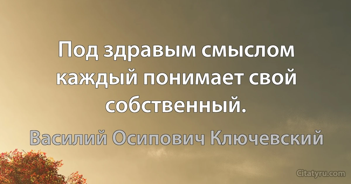 Под здравым смыслом каждый понимает свой собственный. (Василий Осипович Ключевский)