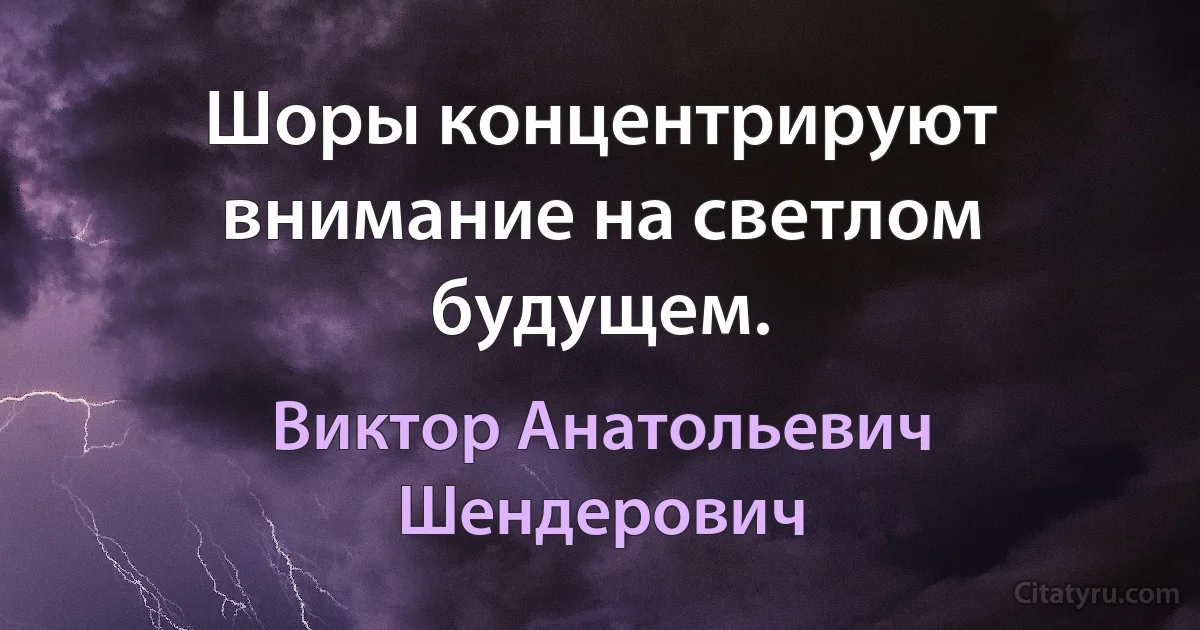 Шоры концентрируют внимание на светлом будущем. (Виктор Анатольевич Шендерович)