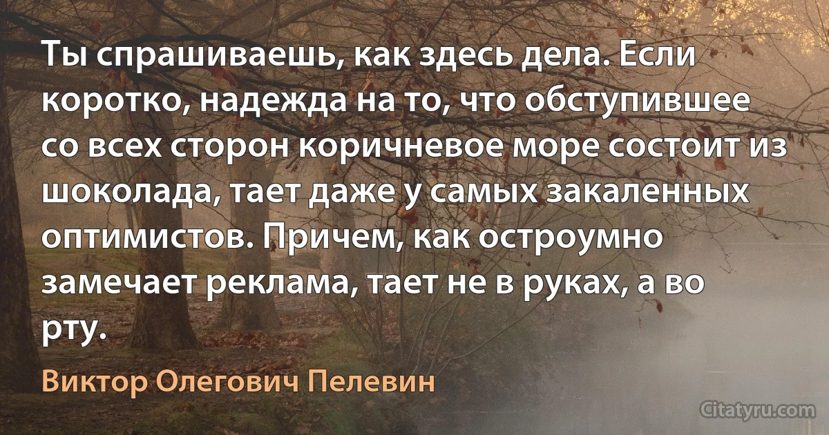 Ты спрашиваешь, как здесь дела. Если коротко, надежда на то, что обступившее со всех сторон коричневое море состоит из шоколада, тает даже у самых закаленных оптимистов. Причем, как остроумно замечает реклама, тает не в руках, а во рту. (Виктор Олегович Пелевин)