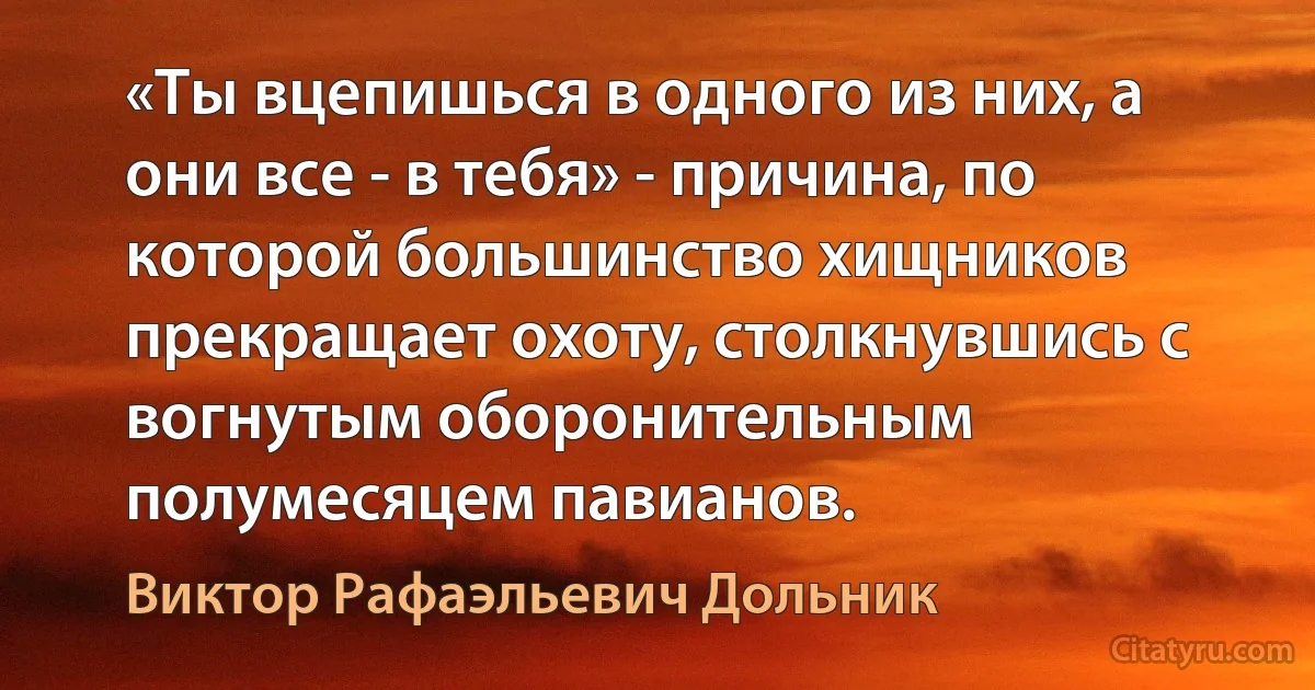 «Ты вцепишься в одного из них, а они все - в тебя» - причина, по которой большинство хищников прекращает охоту, столкнувшись с вогнутым оборонительным полумесяцем павианов. (Виктор Рафаэльевич Дольник)