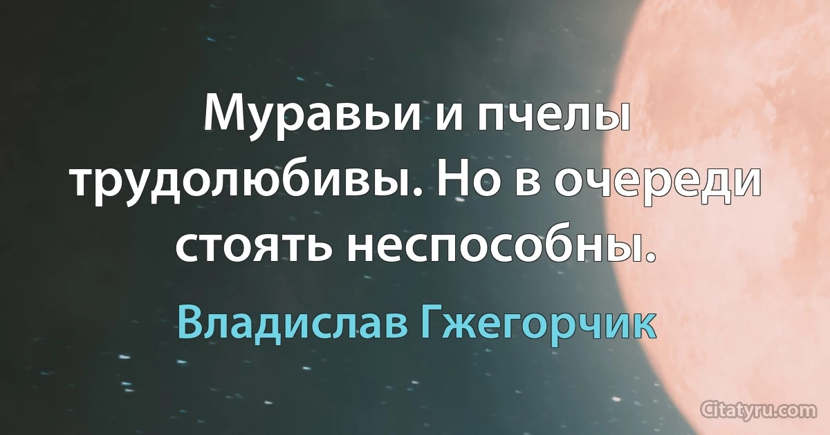 Муравьи и пчелы трудолюбивы. Но в очереди стоять неспособны. (Владислав Гжегорчик)