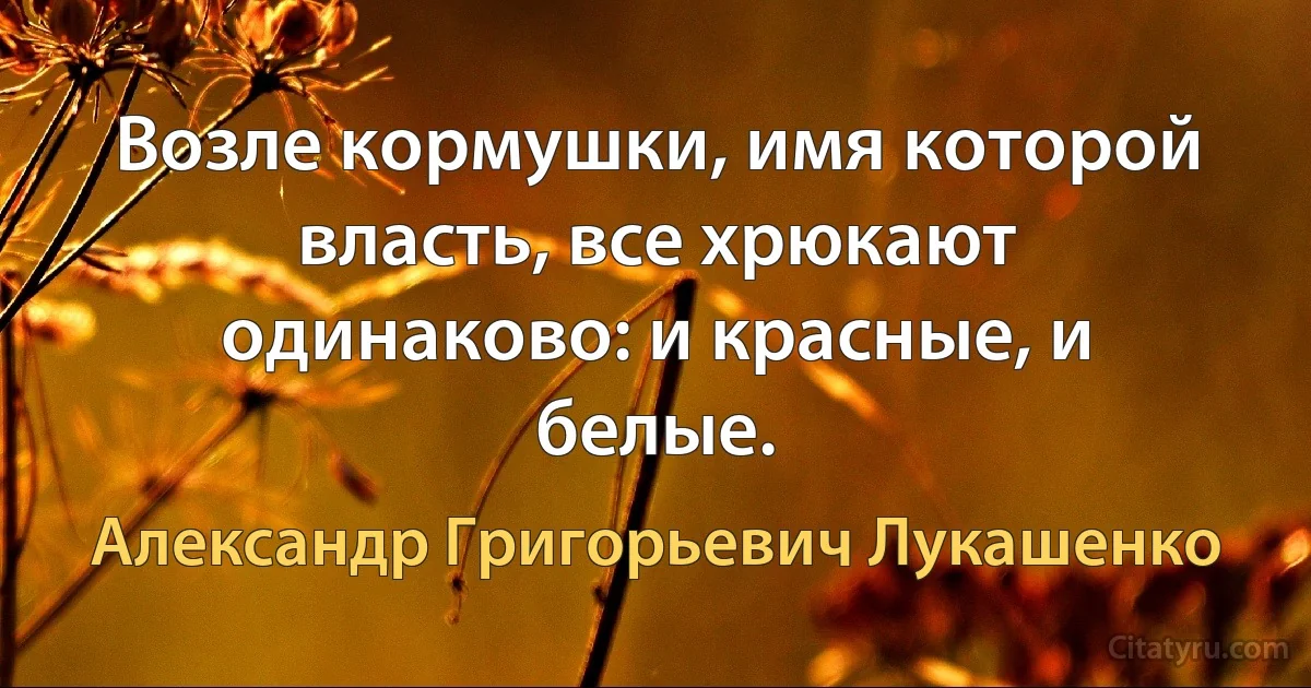 Возле кормушки, имя которой власть, все хрюкают одинаково: и красные, и белые. (Александр Григорьевич Лукашенко)