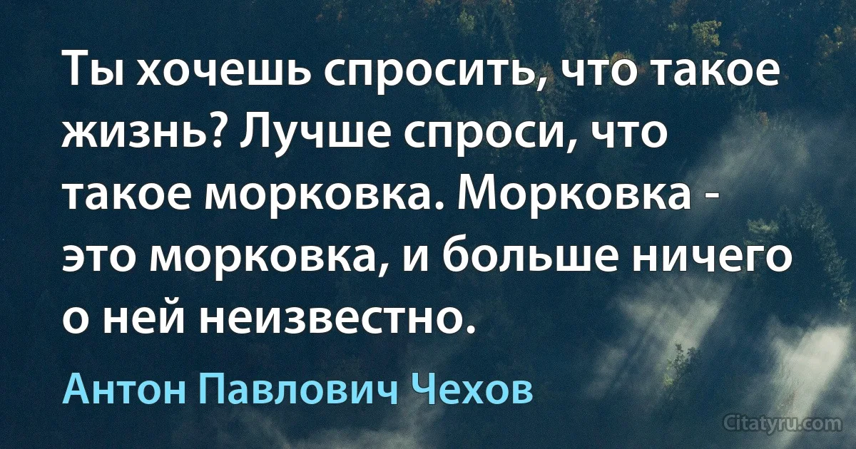 Ты хочешь спросить, что такое жизнь? Лучше спроси, что такое морковка. Морковка - это морковка, и больше ничего о ней неизвестно. (Антон Павлович Чехов)