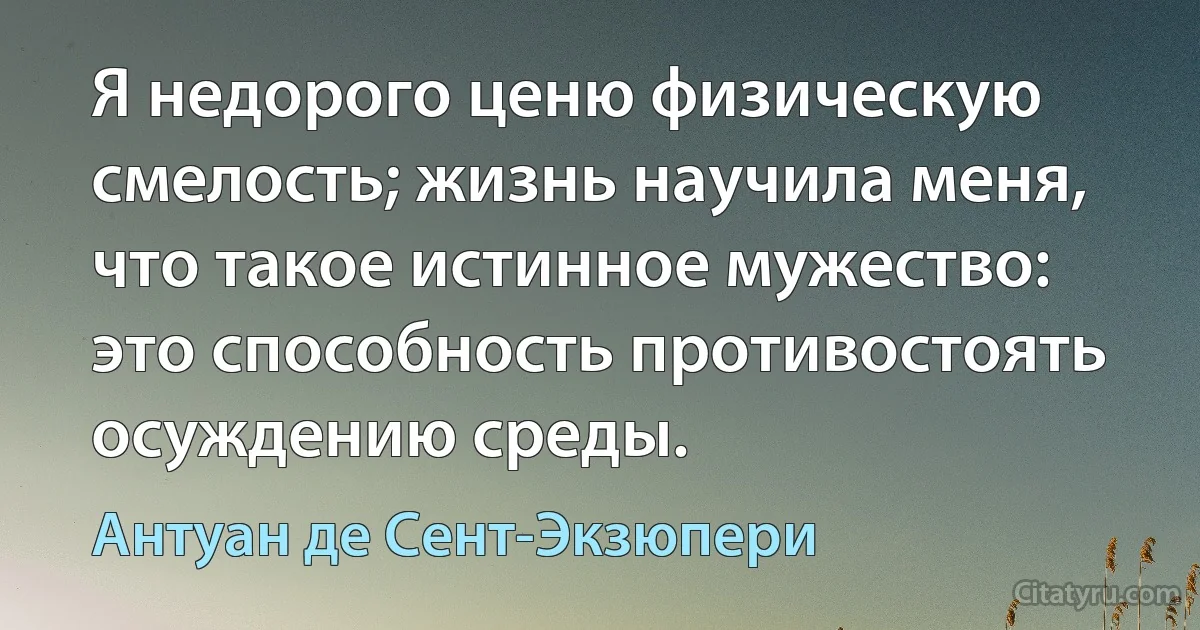 Я недорого ценю физическую смелость; жизнь научила меня, что такое истинное мужество: это способность противостоять осуждению среды. (Антуан де Сент-Экзюпери)