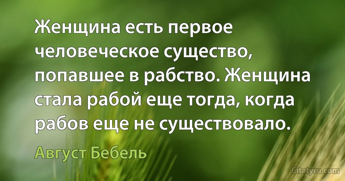 Женщина есть первое человеческое существо, попавшее в рабство. Женщина стала рабой еще тогда, когда рабов еще не существовало. (Август Бебель)