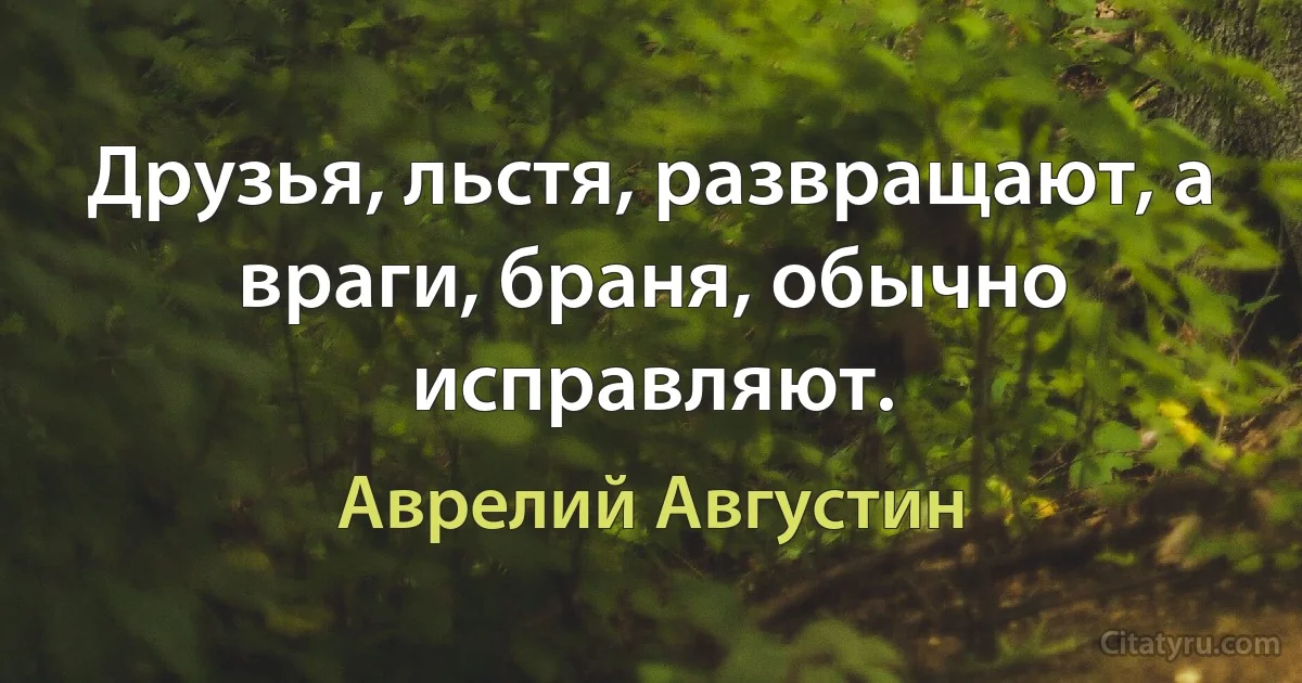 Друзья, льстя, развращают, а враги, браня, обычно исправляют. (Аврелий Августин)