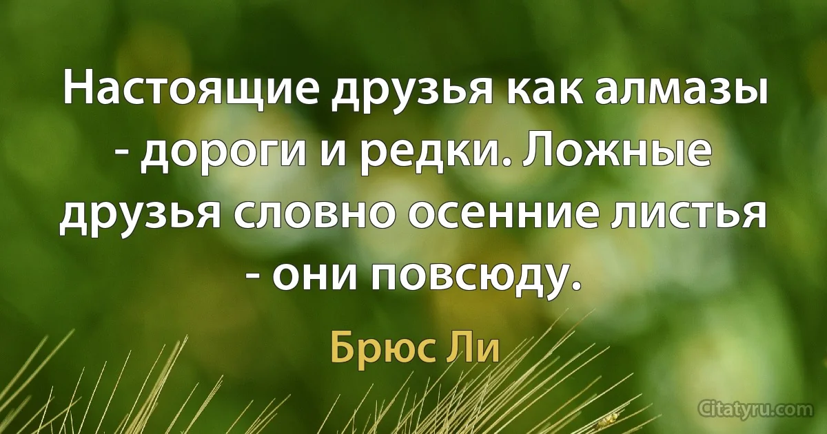 Настоящие друзья как алмазы - дороги и редки. Ложные друзья словно осенние листья - они повсюду. (Брюс Ли)