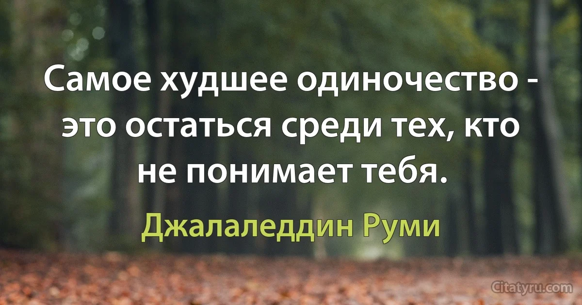 Самое худшее одиночество - это остаться среди тех, кто не понимает тебя. (Джалаледдин Руми)