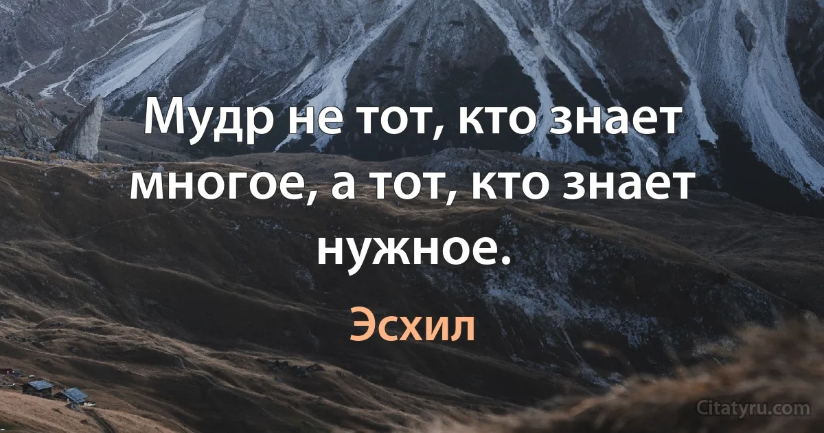 Мудр не тот, кто знает многое, а тот, кто знает нужное. (Эсхил)