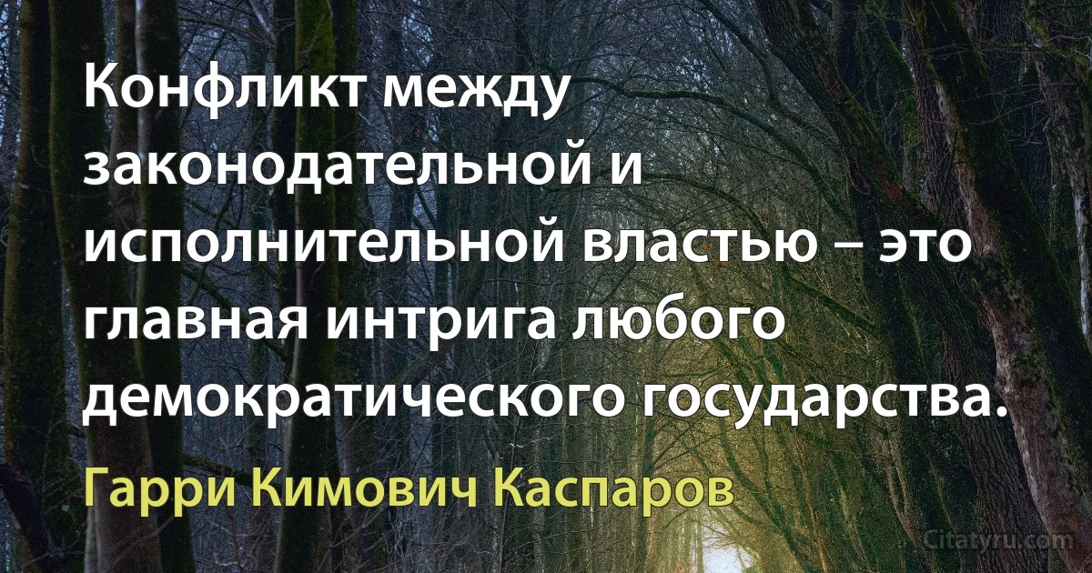 Конфликт между законодательной и исполнительной властью – это главная интрига любого демократического государства. (Гарри Кимович Каспаров)